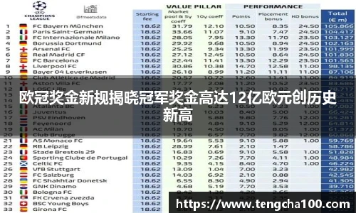 星空入口免费网站