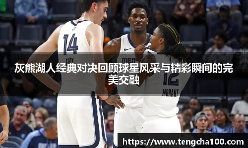 星空入口免费网站